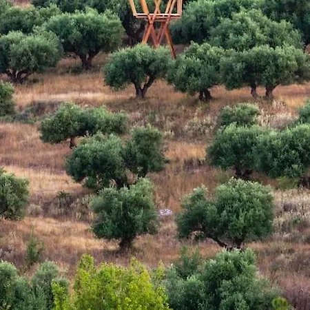 Nyaraló Koriani Farm *